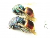Chrysididae sp.  Russia, Tver reg. - INSECTS-STORE.RU
