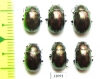 Chrysomelidae sp.  Russia, Tuva reg. - INSECTS-STORE.RU