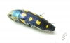 Buprestis octoguttata  Ukraina - INSECTS-STORE.RU
