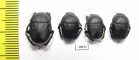 Gymnopleurus mopsus  Russia, Ingushetia reg. - INSECTS-STORE.RU