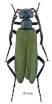 Cyaneolytta sp.  South Africa Rep. 20mm - INSECTS-STORE.RU