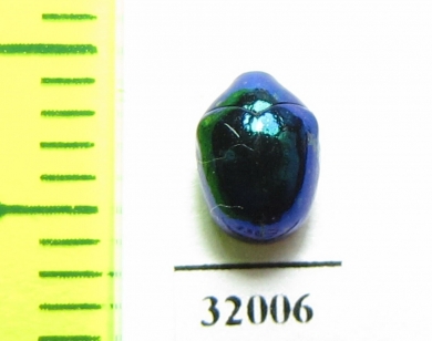 Chrysomelidae sp.  Peru - INSECTS-STORE.RU